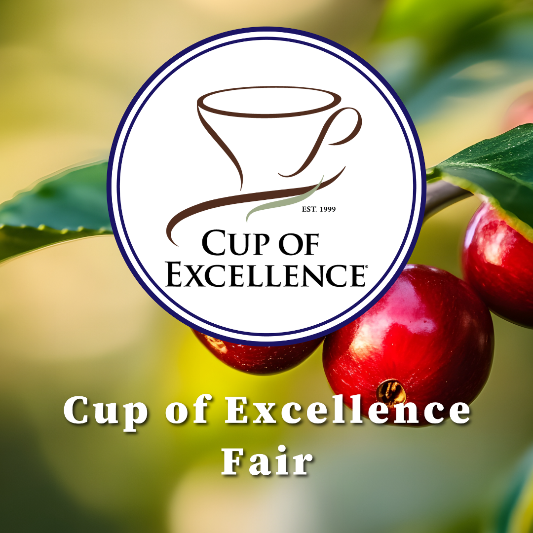 【開催中】世界最高峰のコーヒーをお届けする『Cup of Excellence Fair』